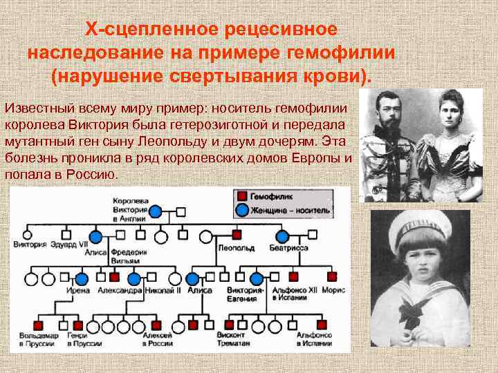 Х-сцепленное рецесивное наследование на примере гемофилии (нарушение свертывания крови). Известный всему миру пример: носитель