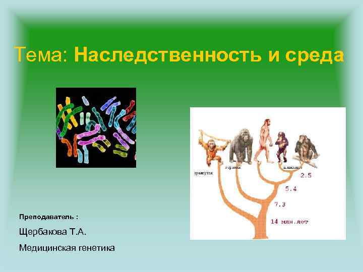 Свойства живых организмов наследственность. Наследственность и среда. Наследственность живых организмов. Наследственность это в биологии. Рисунки по теме наследственность.