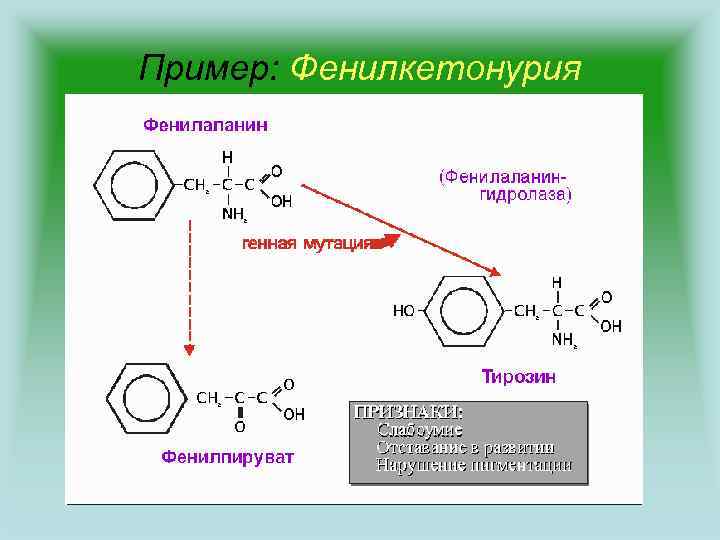 Пример: Фенилкетонурия 