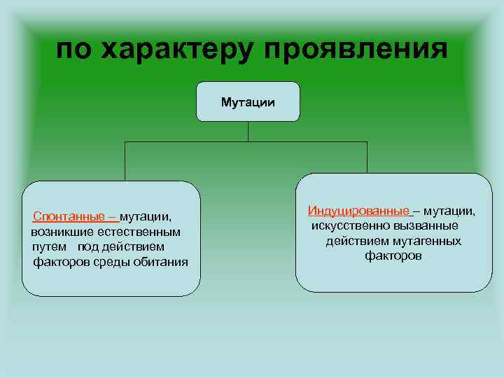 по характеру проявления Мутации Спонтанные – мутации, возникшие естественным путем под действием факторов среды