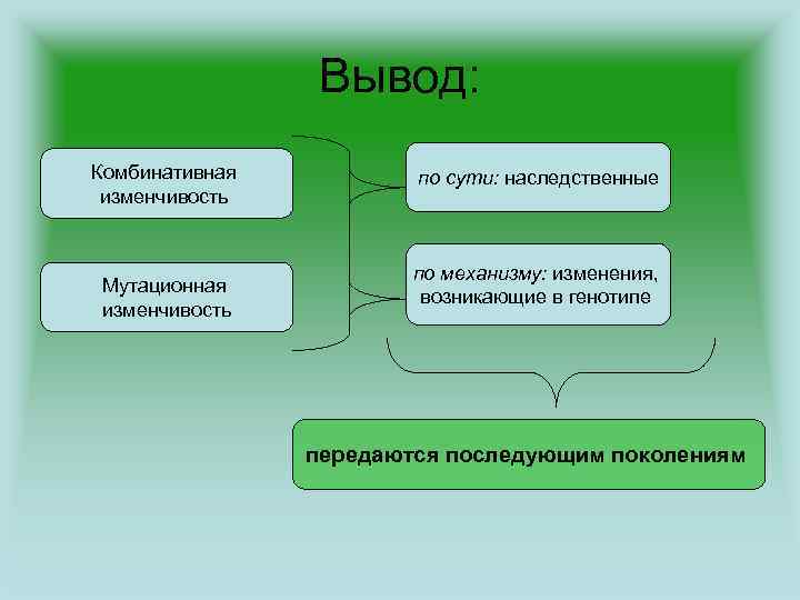 Вывод: Комбинативная изменчивость Мутационная изменчивость по сути: наследственные по механизму: изменения, возникающие в генотипе