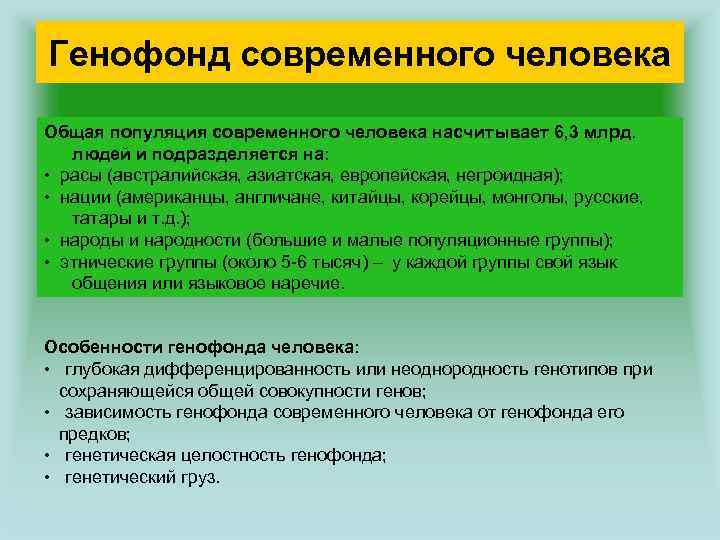 Генофонд современного человека Общая популяция современного человека насчитывает 6, 3 млрд. людей и подразделяется