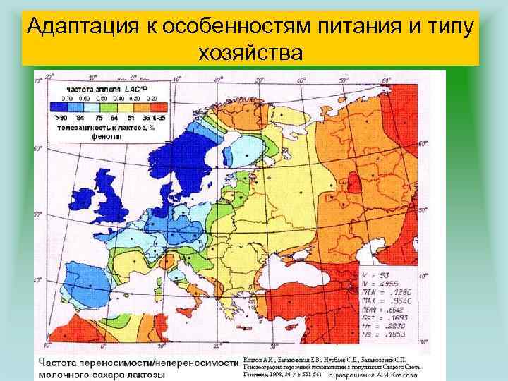 Адаптация к особенностям питания и типу хозяйства 