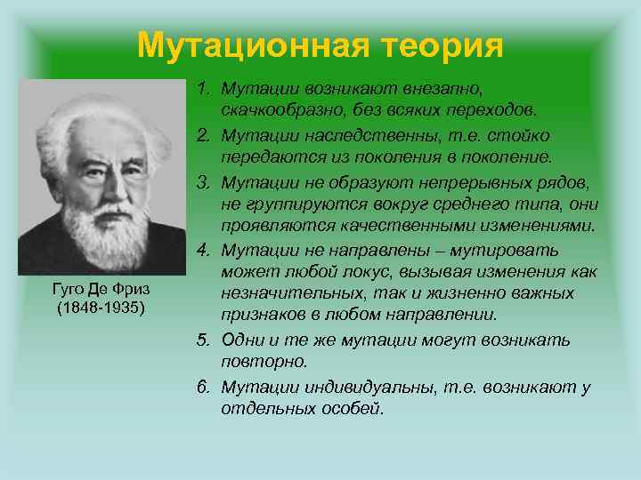 Мутационная теория Гуго Де Фриз (1848 -1935) 1. Мутации возникают внезапно, скачкообразно, без всяких