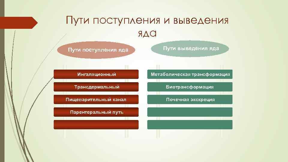 Пути поступления