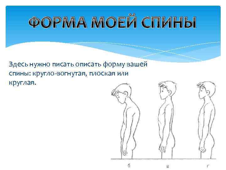 ФОРМА МОЕЙ СПИНЫ Здесь нужно писать описать форму вашей спины: кругло-вогнутая, плоская или круглая.
