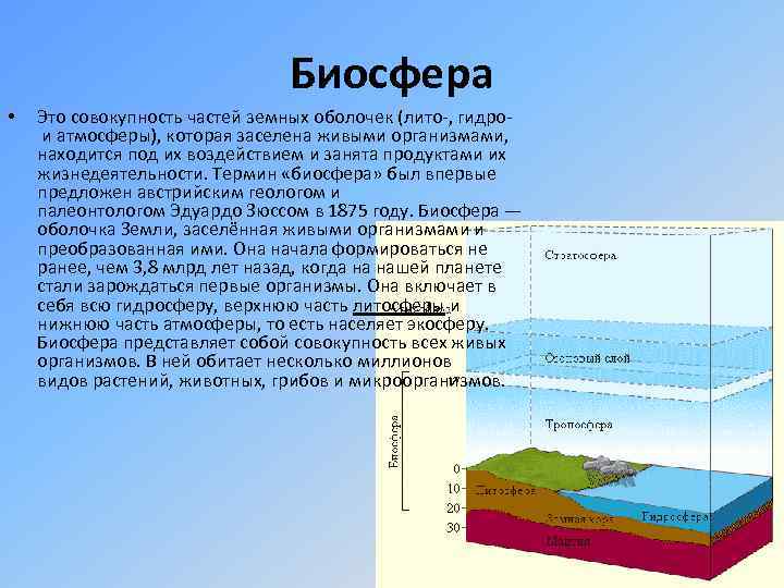 Сферы биосферы