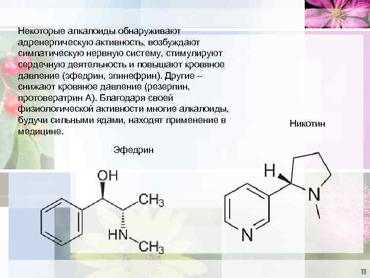 Презентация по теме алкалоиды