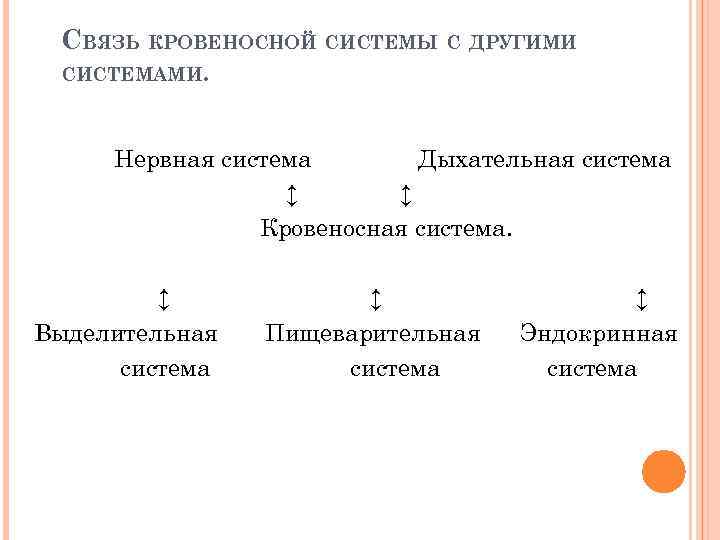 СВЯЗЬ КРОВЕНОСНОЙ СИСТЕМЫ С ДРУГИМИ СИСТЕМАМИ. Нервная система Дыхательная система ↕ ↕ Кровеносная система.