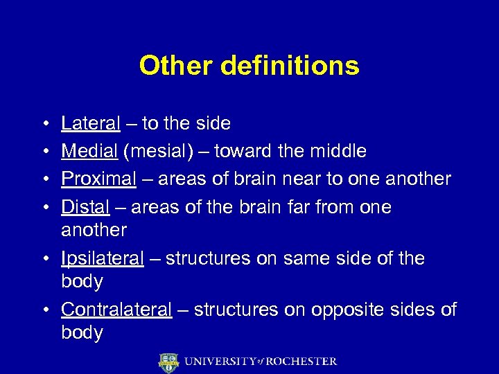 Other definitions • • Lateral – to the side Medial (mesial) – toward the