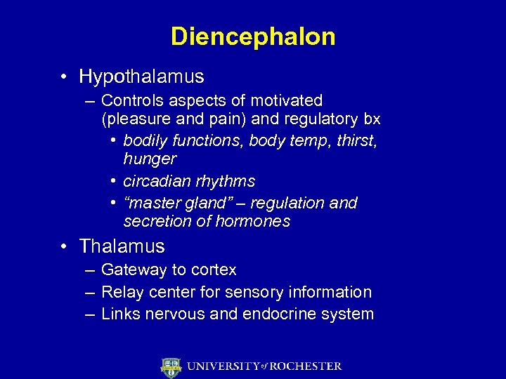 Diencephalon • Hypothalamus – Controls aspects of motivated (pleasure and pain) and regulatory bx