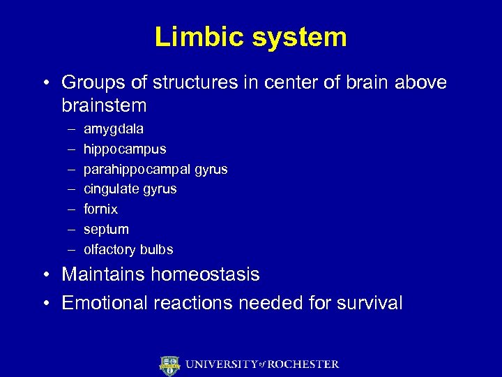 Limbic system • Groups of structures in center of brain above brainstem – –