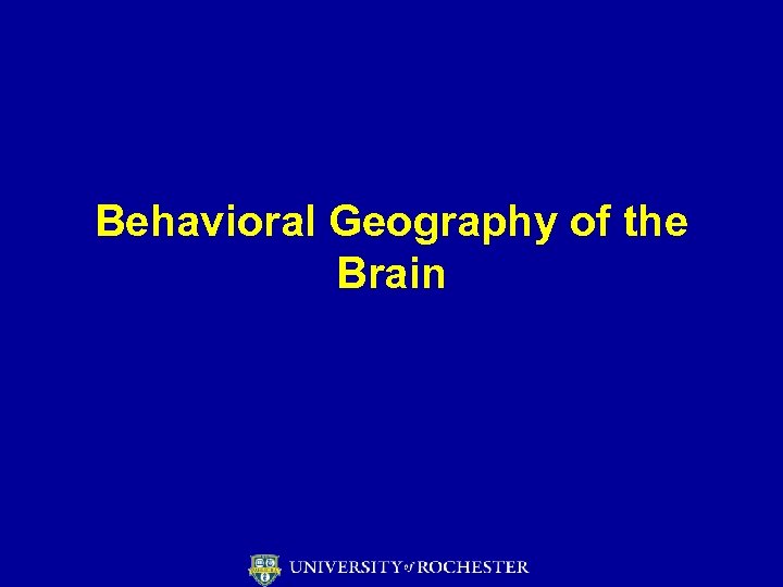 Behavioral Geography of the Brain 