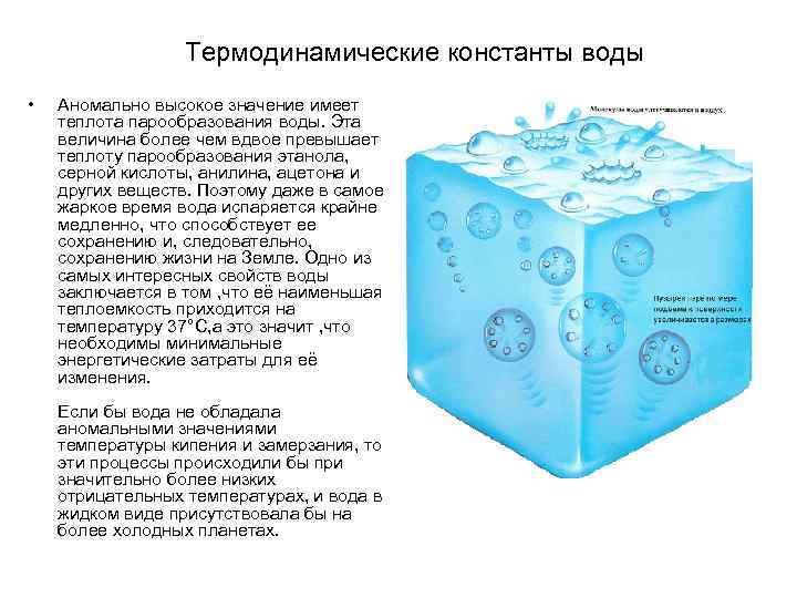 Термодинамические константы воды • Аномально высокое значение имеет теплота парообразования воды. Эта величина более