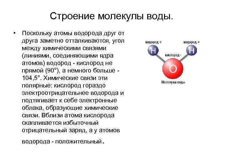 Строение молекулы воды. • Поскольку атомы водорода друг от друга заметно отталкиваются, угол между