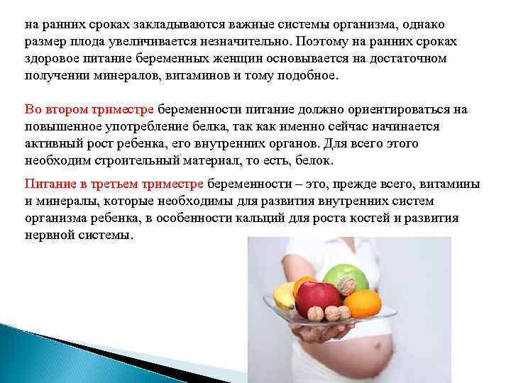 на ранних сроках закладываются важные системы организма, однако размер плода увеличивается незначительно. Поэтому на