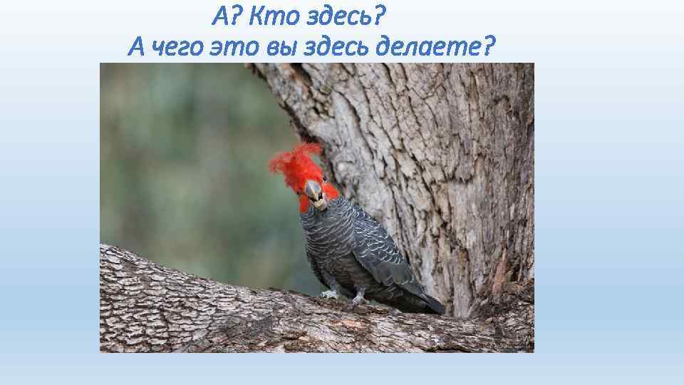 А? Кто здесь? А чего это вы здесь делаете? 