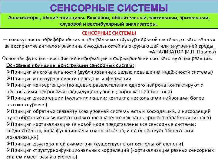Анализаторы, общие принципы. Вкусовой, обонятельный, тактильный, зрительный, слуховой и вестибулярный анализаторы. СЕНСОРНЫЕ СИСТЕМЫ —