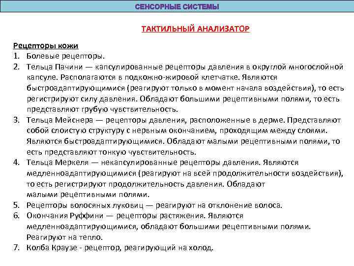 ТАКТИЛЬНЫЙ АНАЛИЗАТОР Рецепторы кожи 1. Болевые рецепторы. 2. Тельца Пачини — капсулированные рецепторы давления
