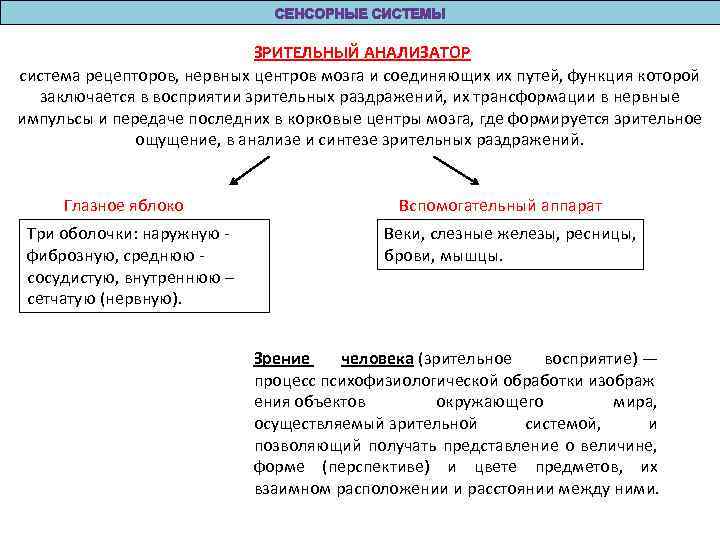 ЗРИТЕЛЬНЫЙ АНАЛИЗАТОР система рецепторов, нервных центров мозга и соединяющих их путей, функция которой заключается