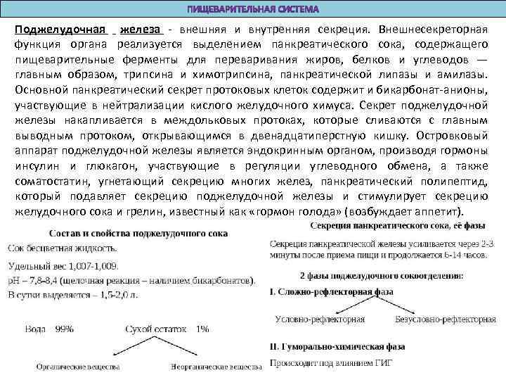 Поджелудочная железа - внешняя и внутренняя секреция. Внешнесекреторная функция органа реализуется выделением панкреатического сока,