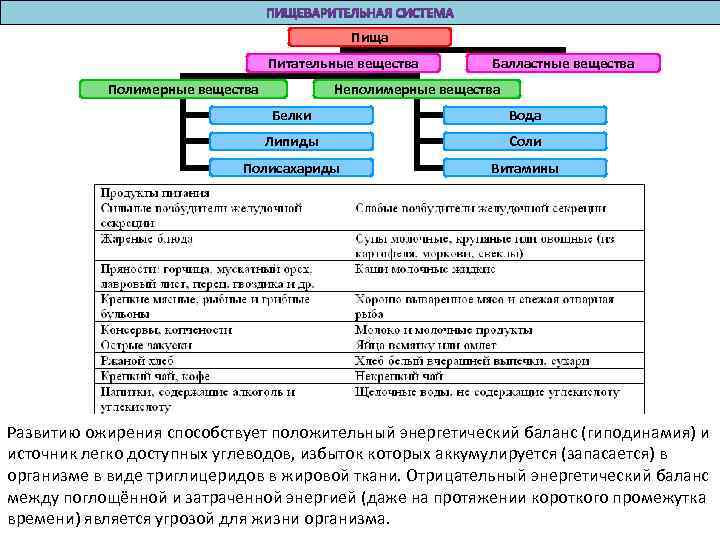 Пища Питательные вещества Полимерные вещества Балластные вещества Неполимерные вещества Белки Вода Липиды Соли Полисахариды