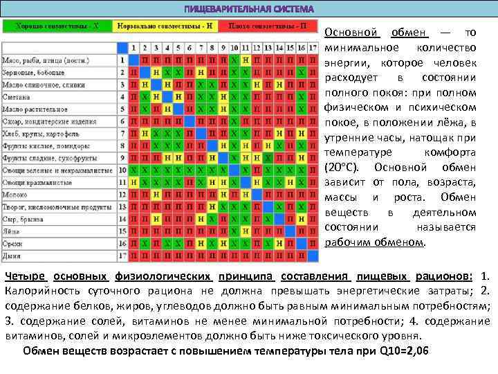 Основной обмен — то минимальное количество энергии, которое человек расходует в состоянии полного покоя: