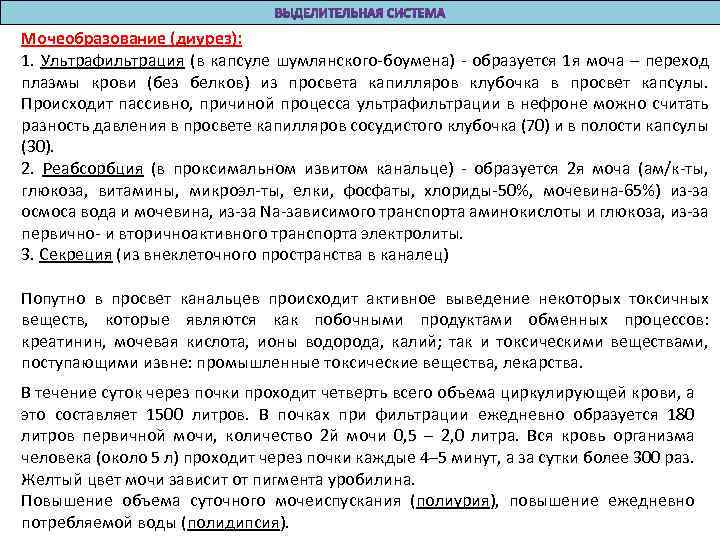 Мочеобразование (диурез): 1. Ультрафильтрация (в капсуле шумлянского-боумена) - образуется 1 я моча – переход