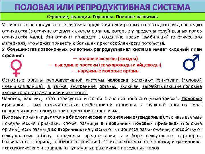 Строение, функции. Гормоны. Половое развитие. У животных репродуктивные системы представителей разных полов одного вида