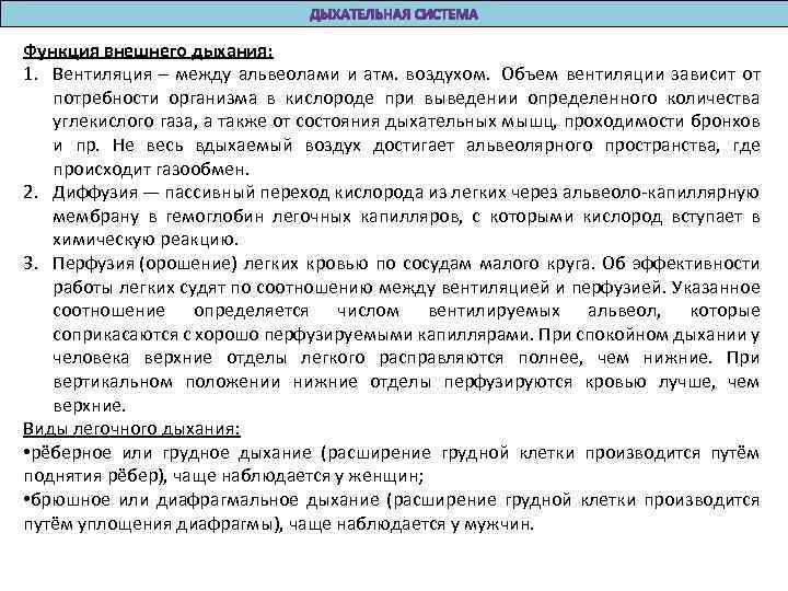 Функция внешнего дыхания: 1. Вентиляция – между альвеолами и атм. воздухом. Объем вентиляции зависит