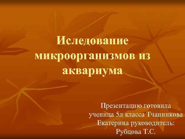 Иследование микроорганизмов из аквариума Презентацию готовила ученица 5 л класса Тчанникова Екатерина руководитель: Рубцова