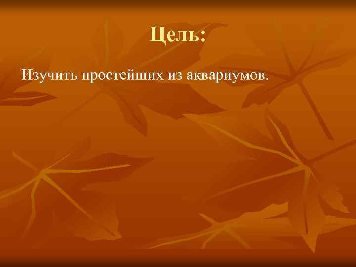 Цель: Изучить простейших из аквариумов. 