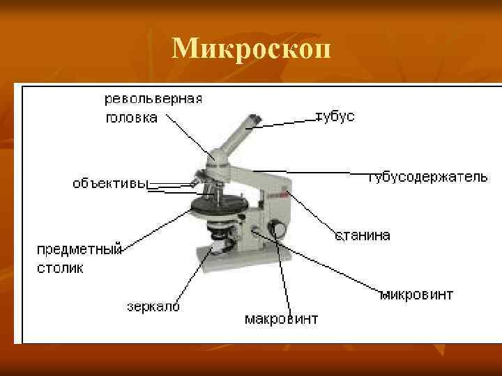 Микроскоп 