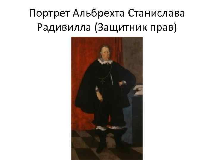 Портрет Альбрехта Станислава Радивилла (Защитник прав) 