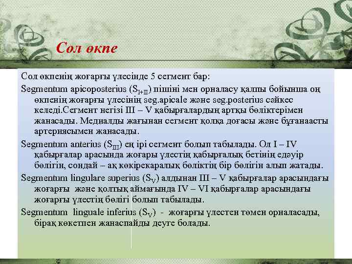 Сол өкпенің жоғарғы үлесінде 5 сегмент бар: Segmentum apicoposterius (SI+II) пішіні мен орналасу қалпы