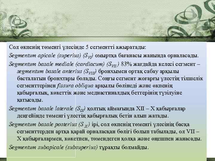 Сол өкпенің төменгі үлесінде 5 сегментті ажыратады: Segmentum apicale (superius) (SVI) омыртқа бағанасы жанында