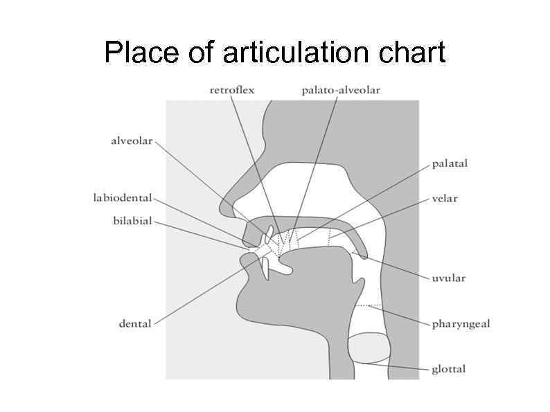 Place of articulation chart 