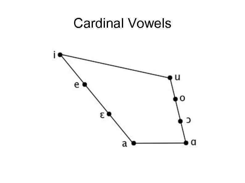 Cardinal Vowels 