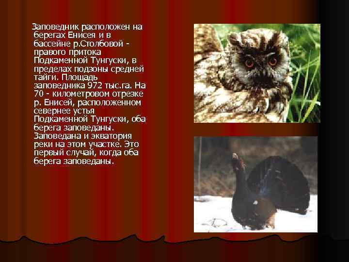  Заповедник расположен на берегах Енисея и в бассейне р. Столбовой - правого притока