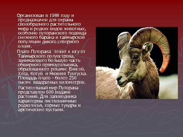  Организован в 1988 году и предназначен для охраны своеобразного растительного мира и редких