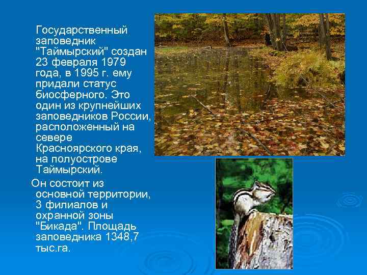  Государственный заповедник "Таймырский" создан 23 февраля 1979 года, в 1995 г. ему придали