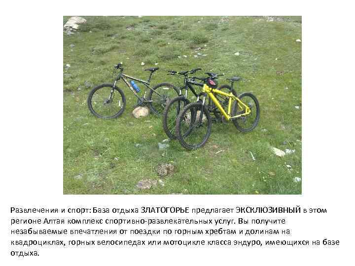 Развлечения и спорт: База отдыха ЗЛАТОГОРЬЕ предлагает ЭКСКЛЮЗИВНЫЙ в этом регионе Алтая комплекс спортивно-развлекательных