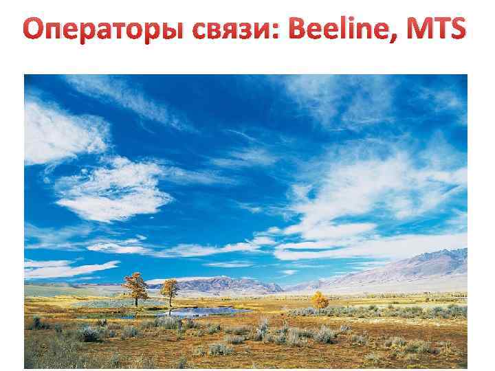 Операторы связи: Beeline, MTS 