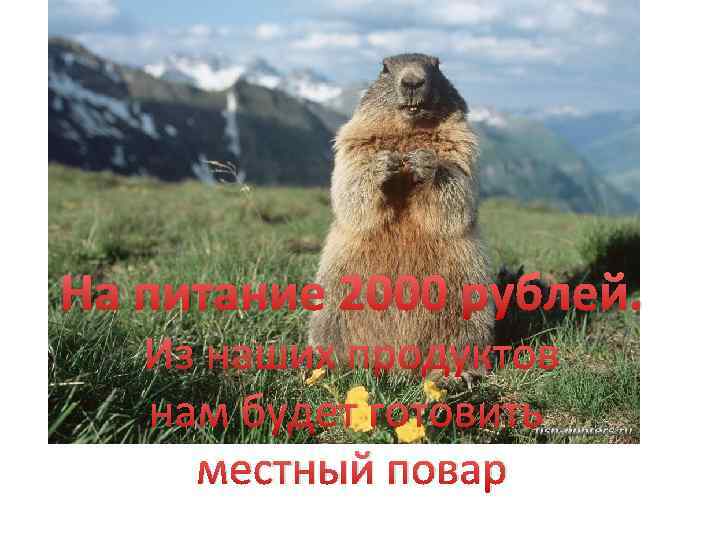 На питание 2000 рублей. Из наших продуктов нам будет готовить местный повар 