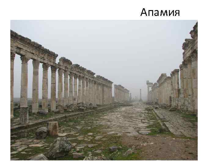 Апамия 