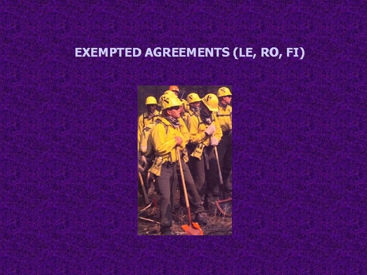 EXEMPTED AGREEMENTS (LE, RO, FI) 