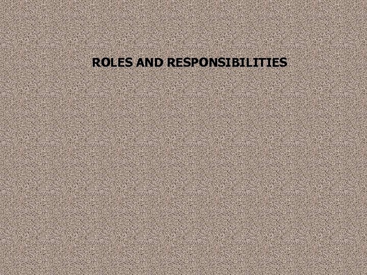 ROLES AND RESPONSIBILITIES 