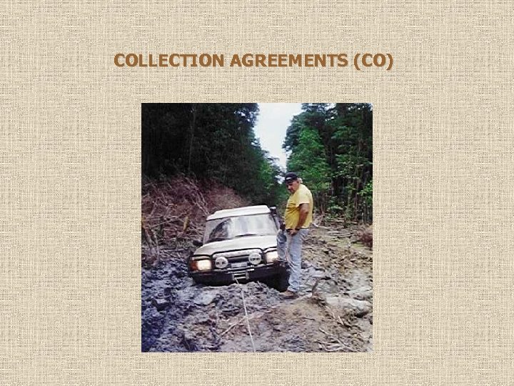  COLLECTION AGREEMENTS (CO) 