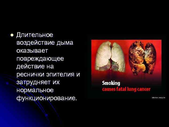l Длительное воздействие дыма оказывает повреждающее действие на реснички эпителия и затрудняет их нормальное
