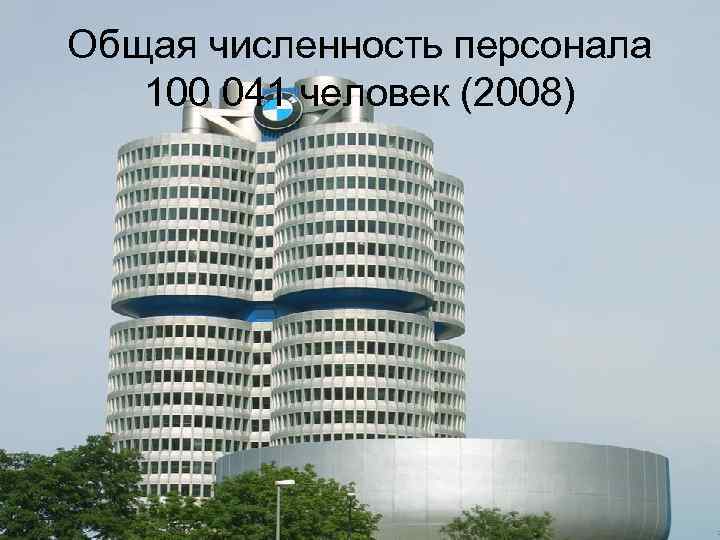 Общая численность персонала 100 041 человек (2008) 